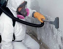 Best Mold Removal for HVAC Installations  in Springboro, OH